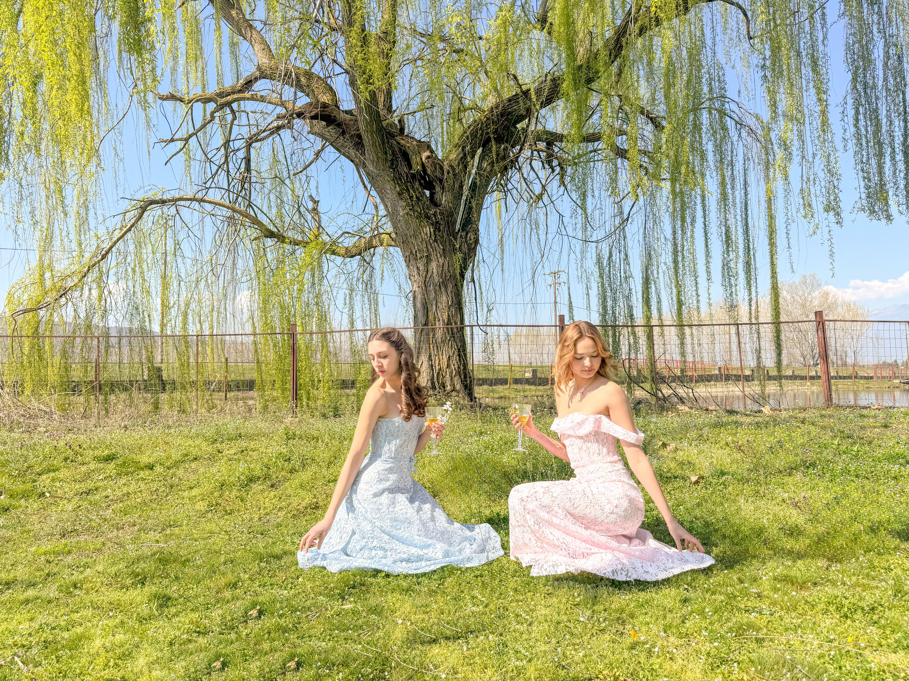 Two women in formal dresses sitting under a willow tree on a sunny day.