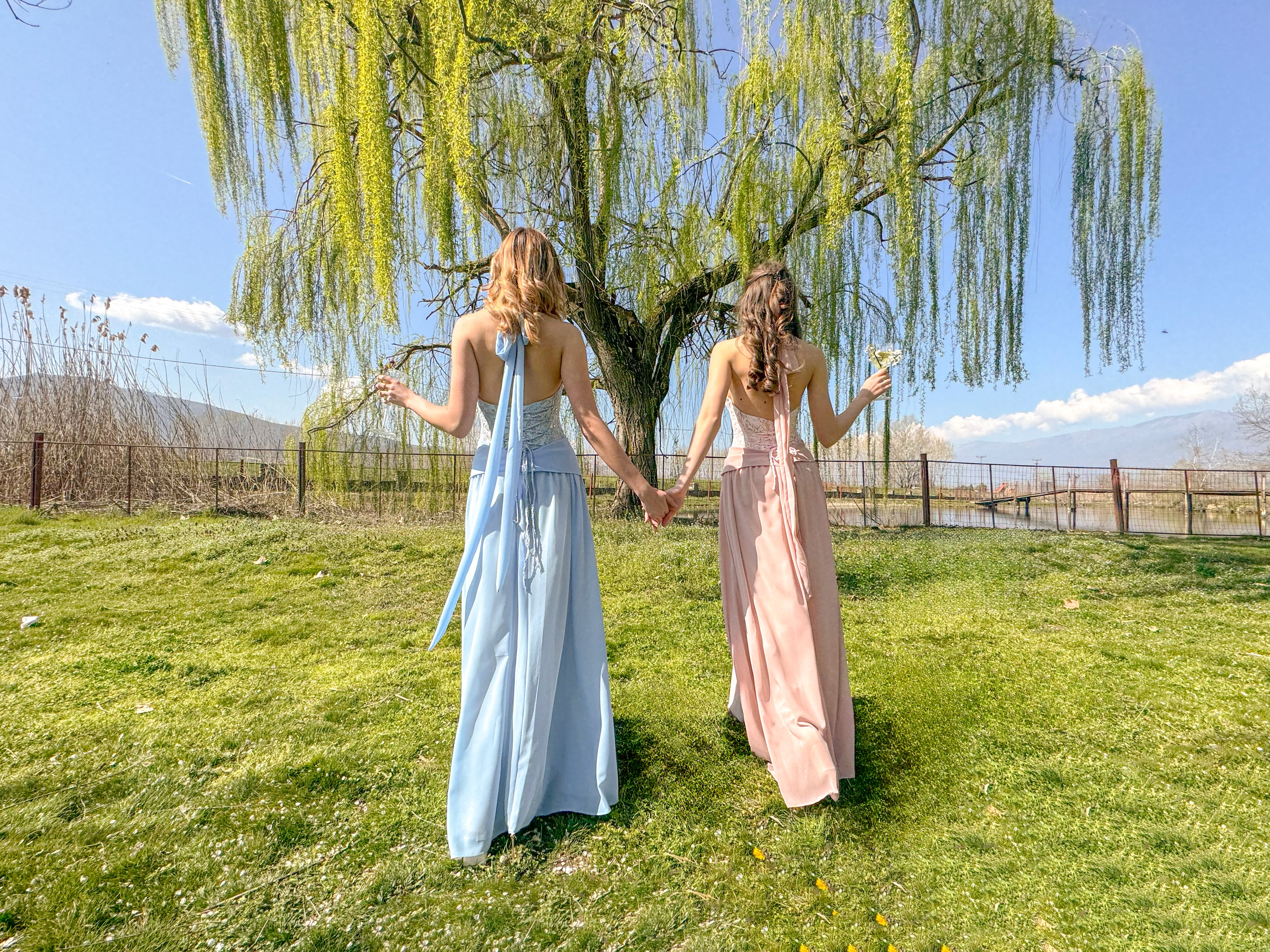 Two women in long dresses holding hands under a willow tree in a grassy field.